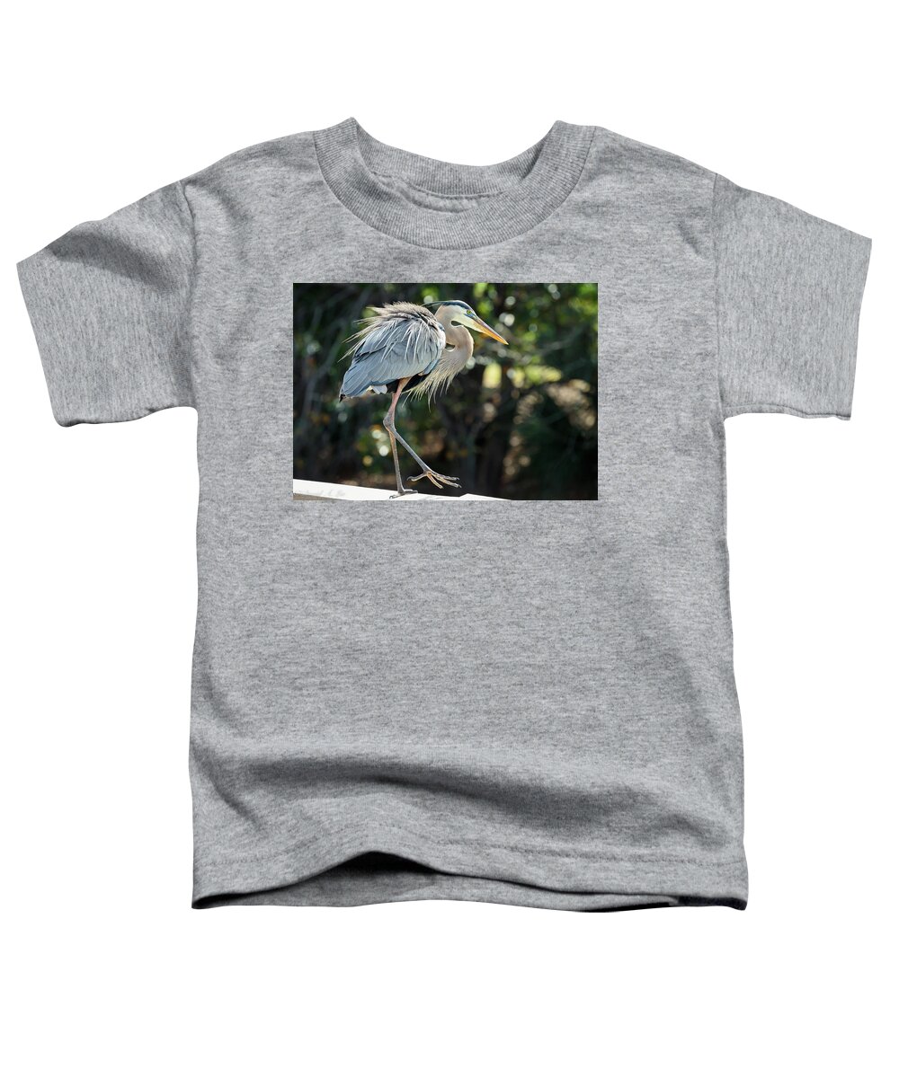 Birds Toddler T-Shirt featuring the photograph Great Blue Heron #1 by David Lee