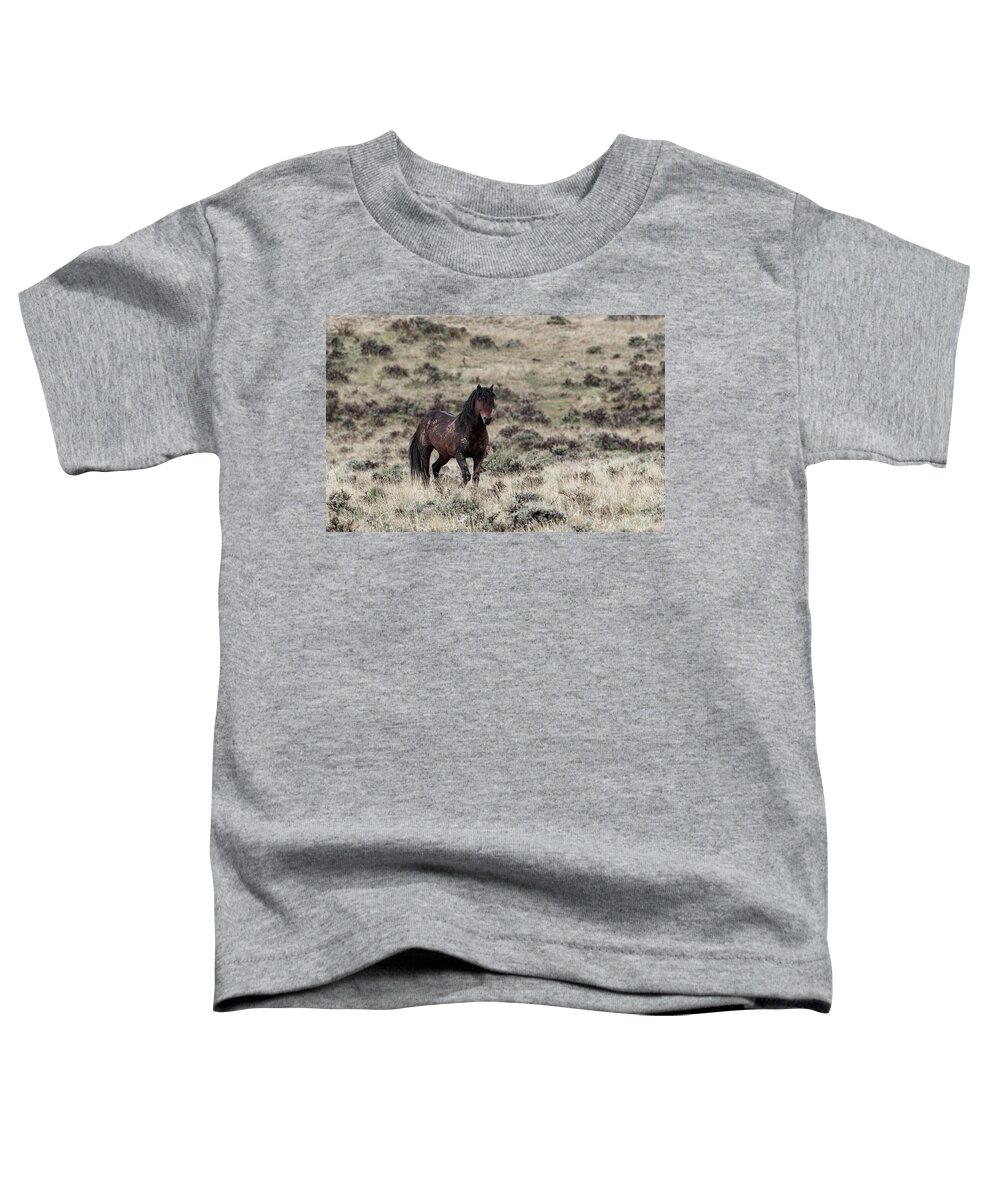 Wild Toddler T-Shirt featuring the photograph Hickory #1 by Ronnie And Frances Howard