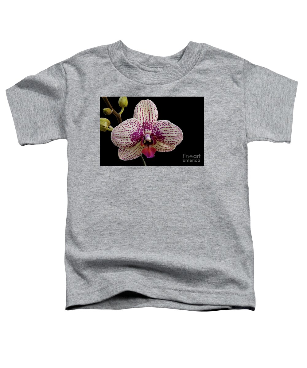 Orchid Toddler T-Shirt featuring the photograph Pensive #1 by Doug Norkum