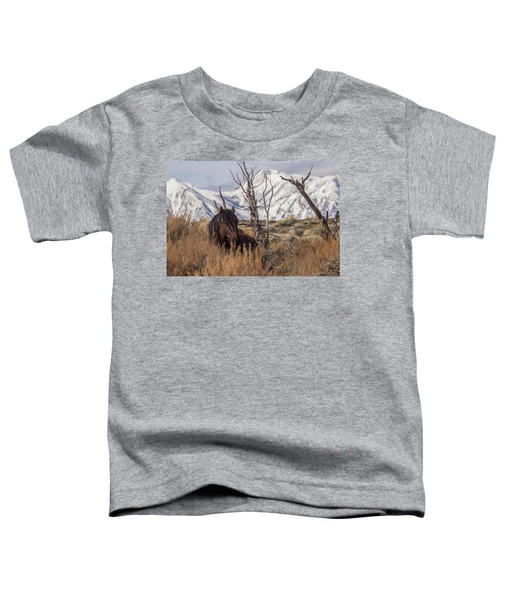 Horse Toddler T-Shirt featuring the photograph Pete #1 by John T Humphrey