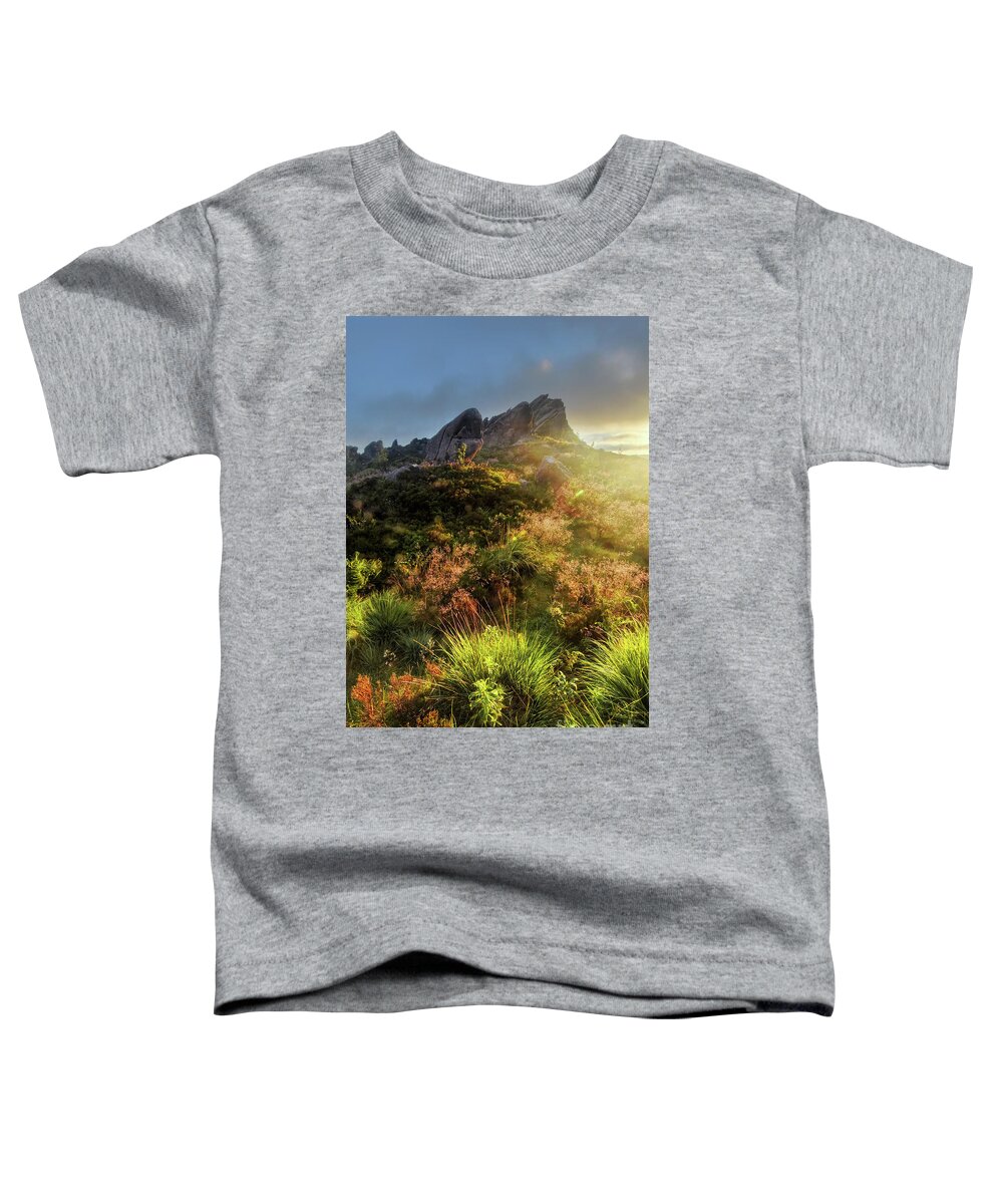 Outdoor Toddler T-Shirt featuring the photograph Ramshaw Rocks 25.0 by Yhun Suarez