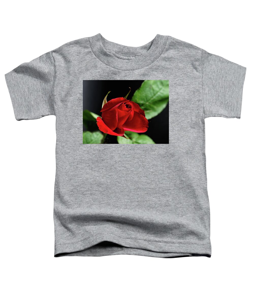 Red Rose Toddler T-Shirt featuring the photograph Red Rose #1 by Jeff Townsend