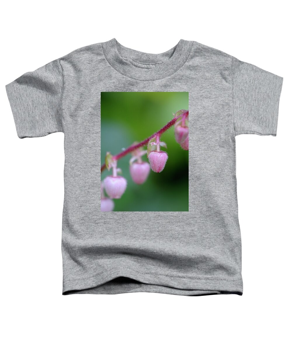 Flower Toddler T-Shirt featuring the photograph Salal Gaultheria shallon, Cowichan Valley, Vancouver Island, British Columbia #1 by Kevin Oke