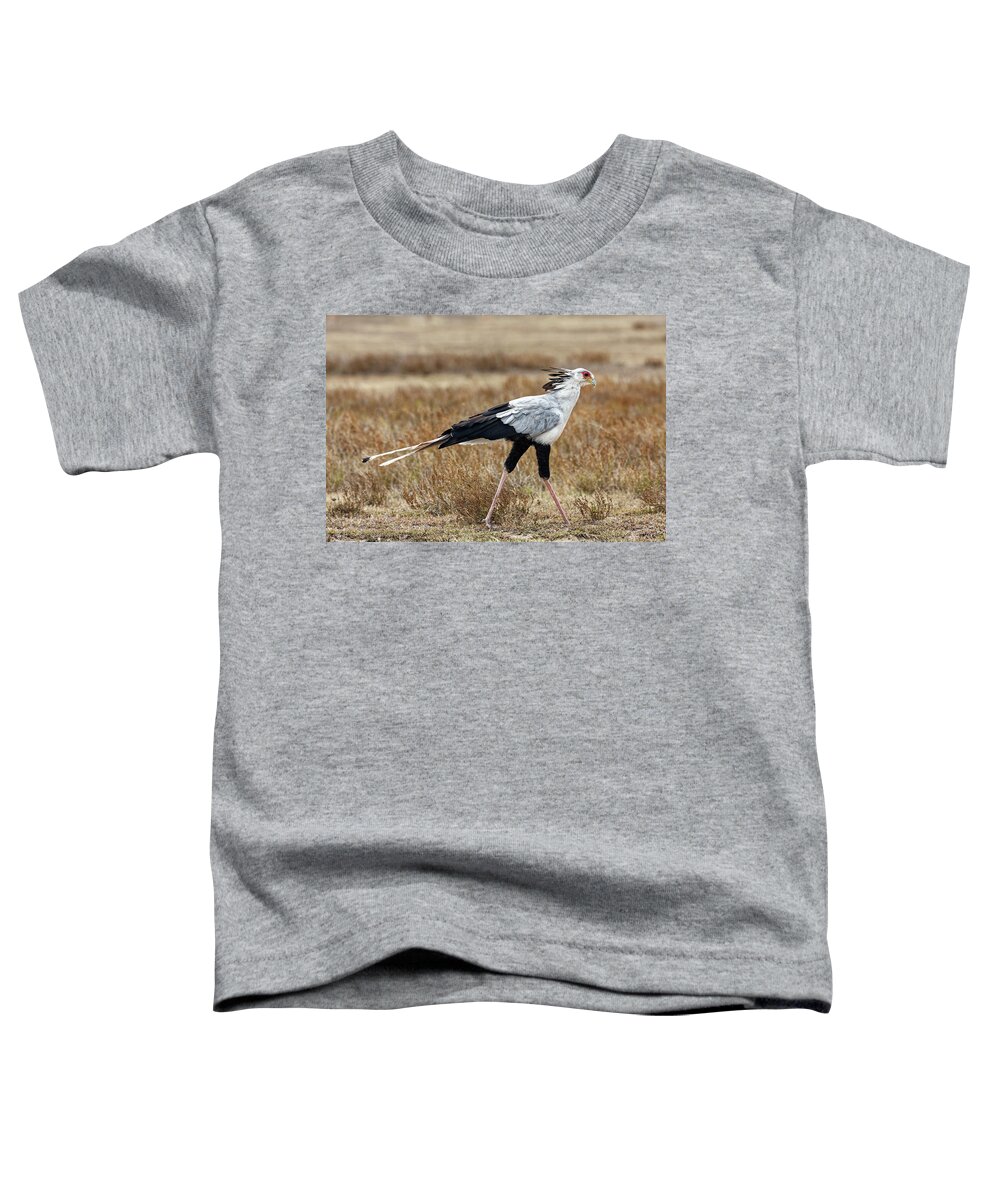 Secretary Bird Walking Toddler T-Shirt featuring the photograph Secretary Bird Walking #3 by Sally Weigand