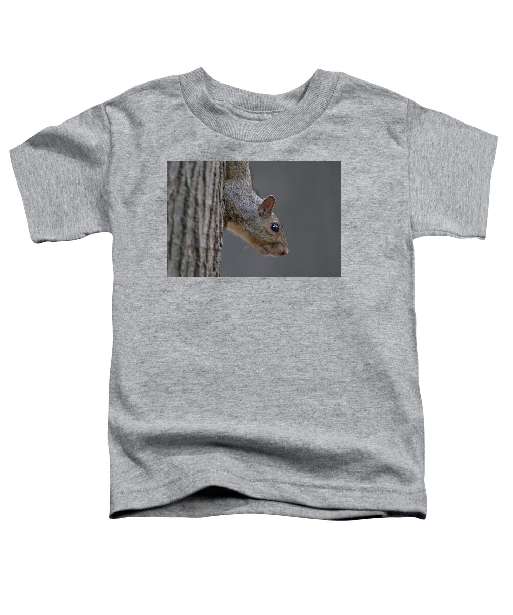 Grey Squirrel Toddler T-Shirt featuring the photograph Squirrel #1 by Brook Burling