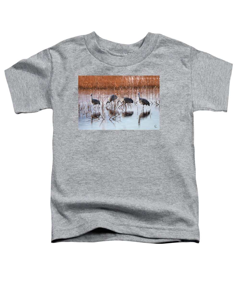 Birds Toddler T-Shirt featuring the photograph The Peacemakers #1 by Robert Harris