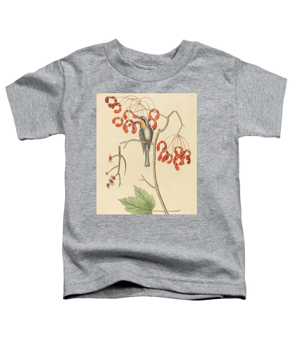 Mark Catesby Toddler T-Shirt featuring the drawing The Yellow Throated Creeper #2 by Mark Catesby