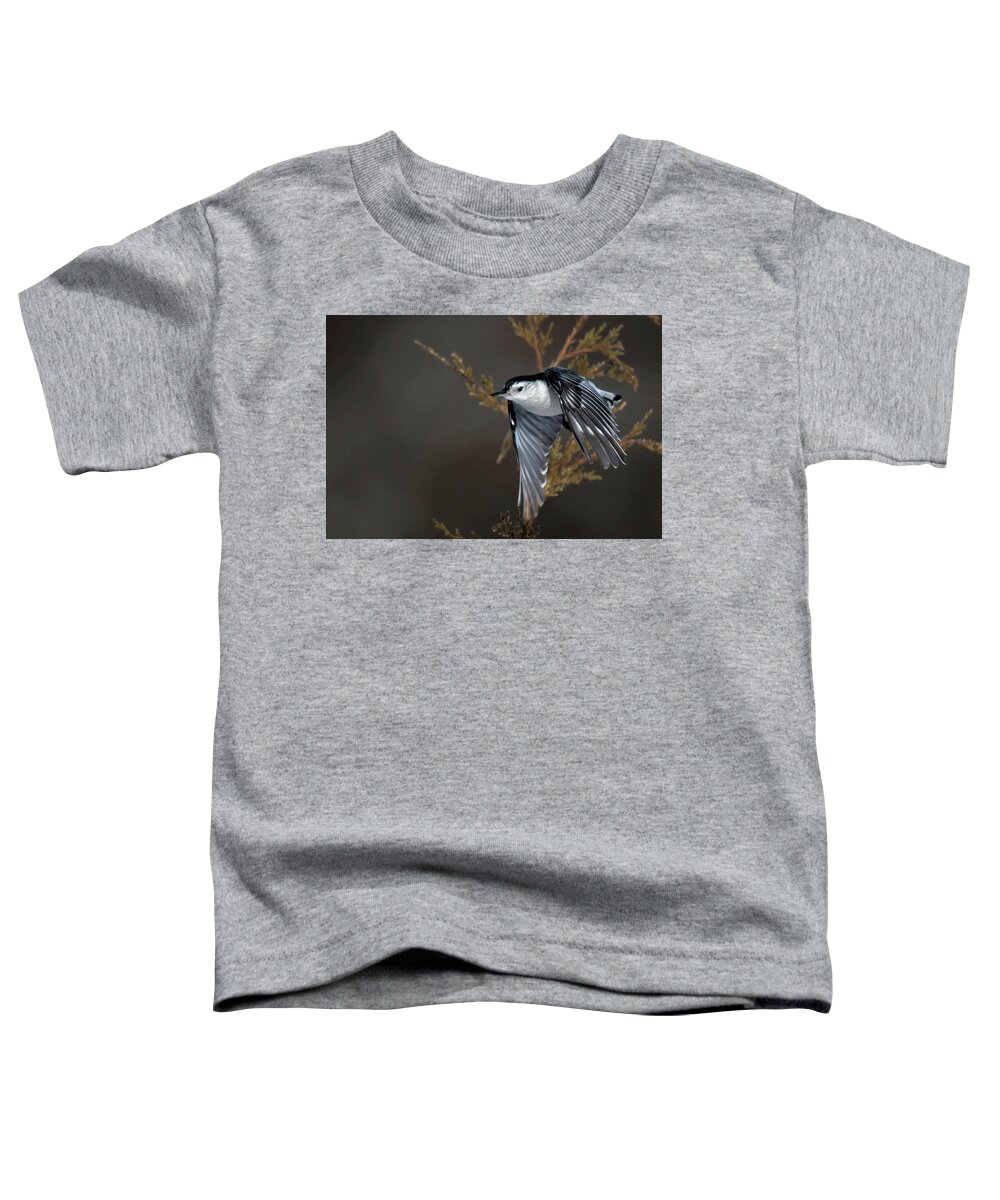 Back Yard Birds Toddler T-Shirt featuring the photograph White-breasted Nuthatch #1 by Linda Shannon Morgan