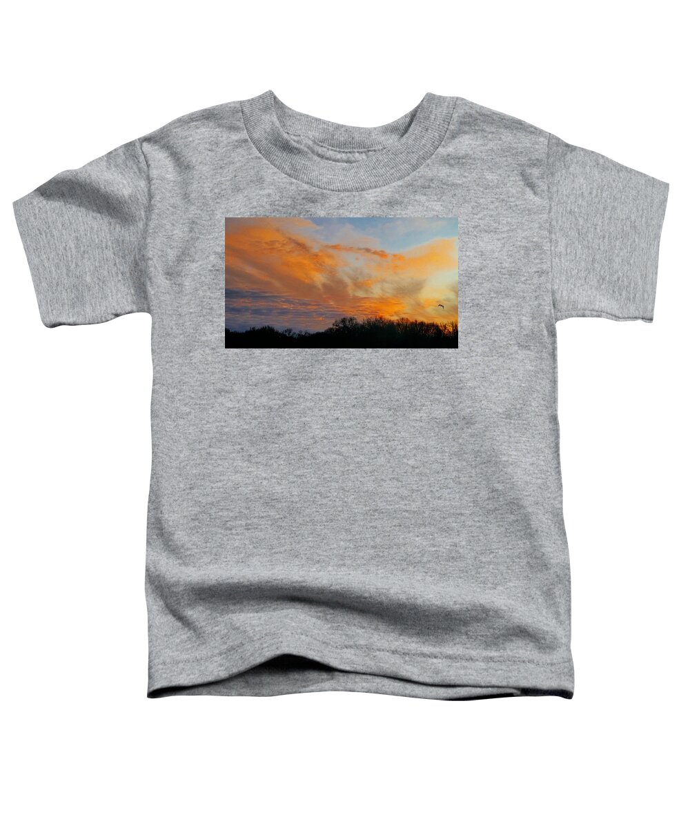 Nature Toddler T-Shirt featuring the mixed media 12/27/19 Sunset by Ally White