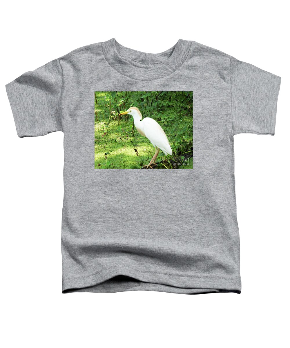 Birding Toddler T-Shirt featuring the photograph 126 Snowy Egret106 Bird City LA by Lizi Beard-Ward