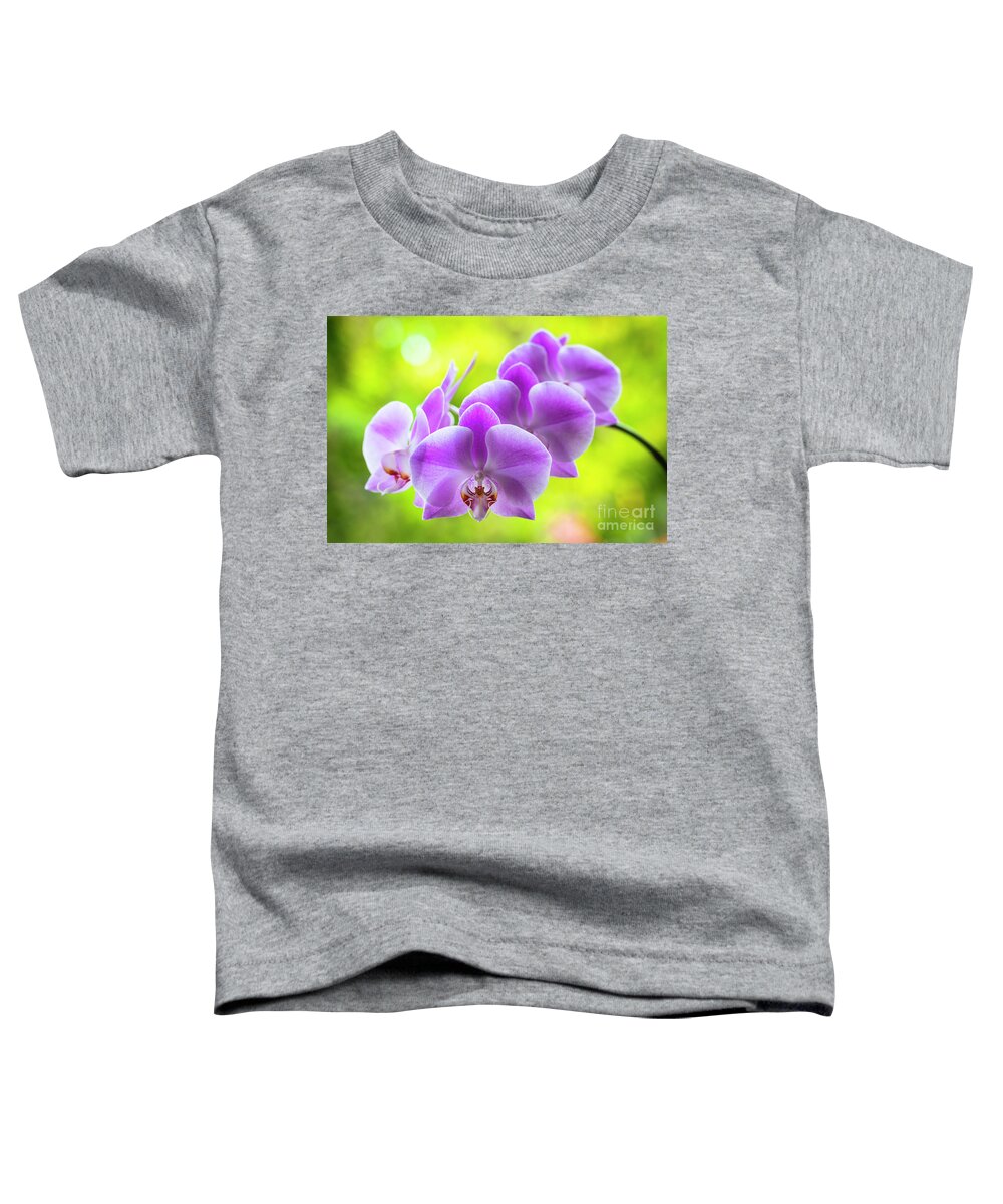 Background Toddler T-Shirt featuring the photograph Purple Orchid Flowers #14 by Raul Rodriguez