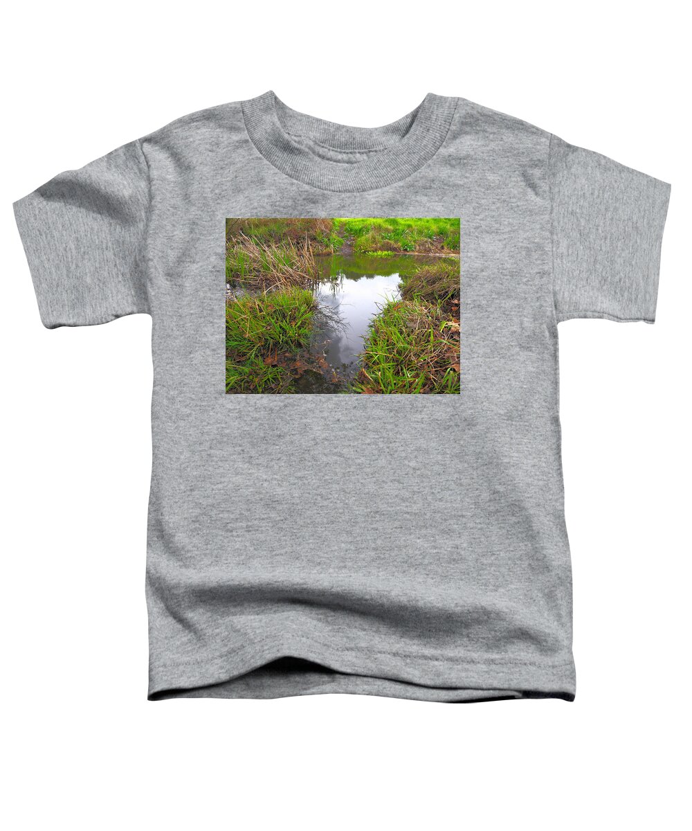 Creek Toddler T-Shirt featuring the photograph Edgewater Creek #2 by Richard Thomas