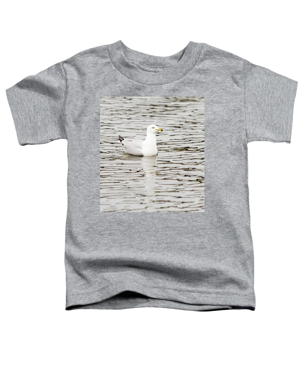 Larus Delawarensis Toddler T-Shirt featuring the photograph Gull floats on water #2 by SAURAVphoto Online Store