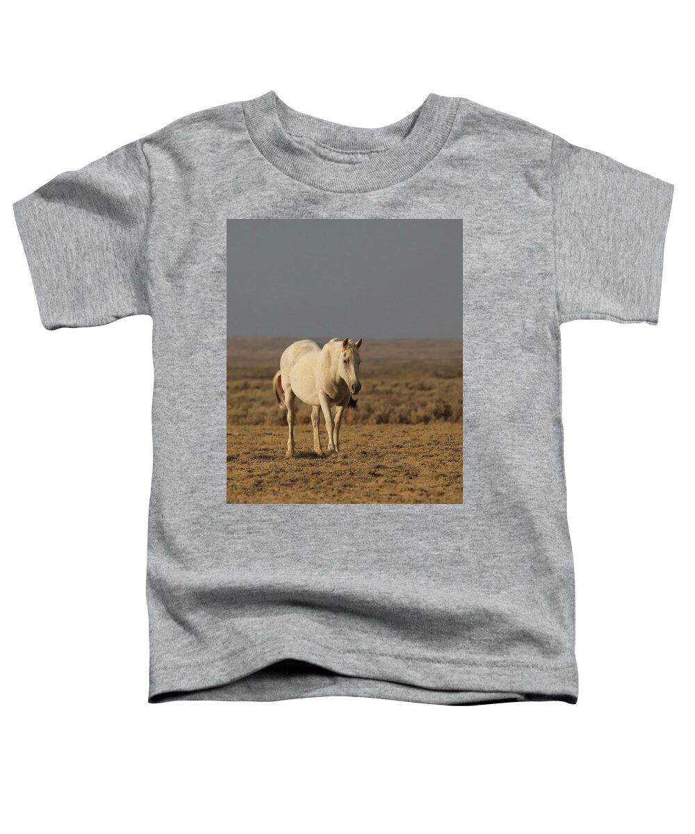 Mustangs Toddler T-Shirt featuring the photograph 2021 Late afternoon light by Jean Clark