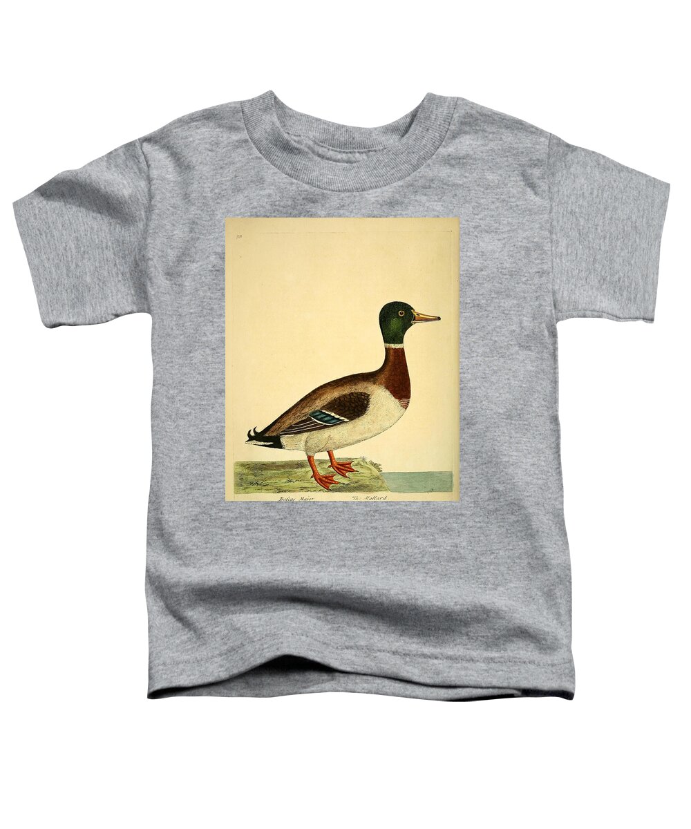 Ducks Toddler T-Shirt featuring the mixed media Beautiful antique waterfowl by Beautiful Nature Prints