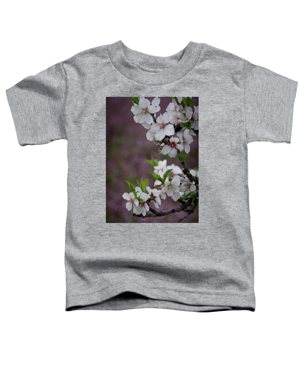 Flowers Toddler T-Shirt featuring the photograph Plum white blooming blossom flowers in early spring. Springtime beauty #3 by Michalakis Ppalis