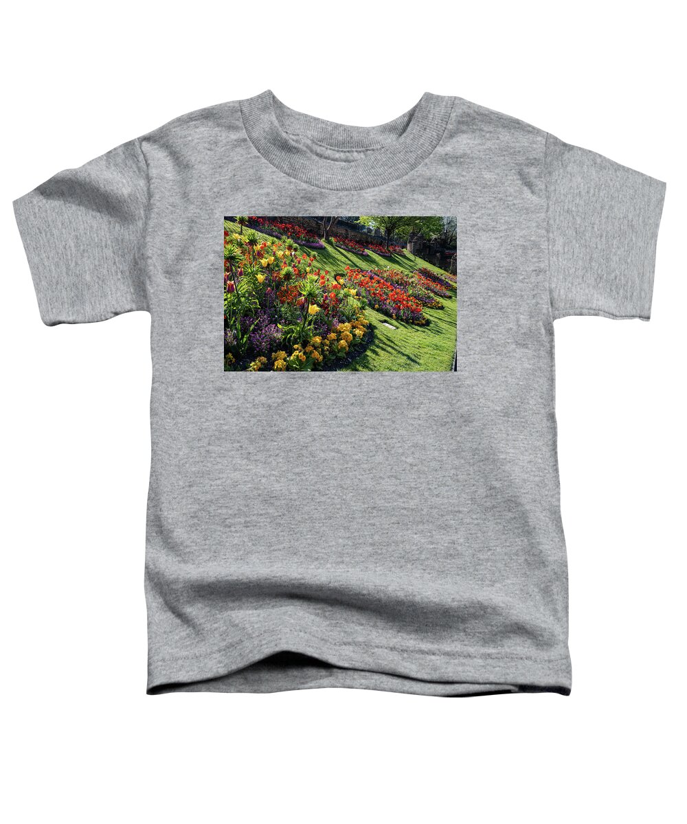 Plant Toddler T-Shirt featuring the photograph Guildford Castle Gardens #4 by Shirley Mitchell