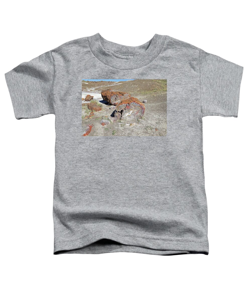Petrified Forest National Park Toddler T-Shirt featuring the photograph Petrified Logs - Petrified Forest National Park by Richard Krebs