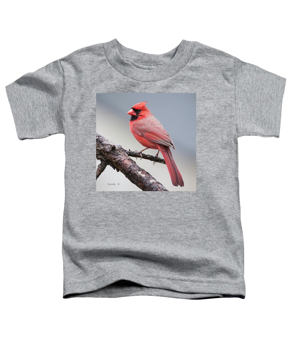 Male Cardinal Toddler T-Shirt featuring the photograph Male Cardinal #8 by Diane Giurco