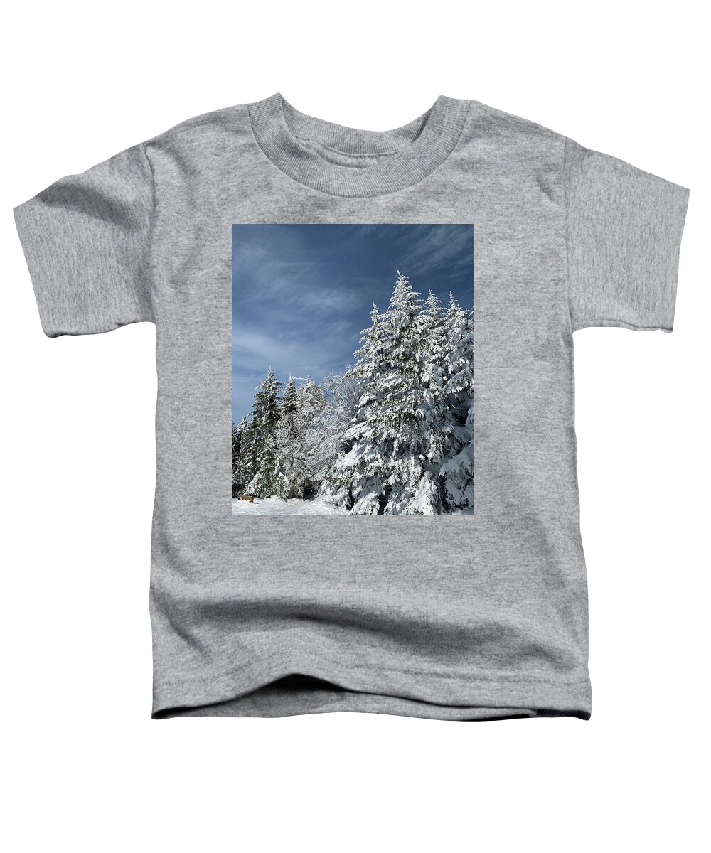  Toddler T-Shirt featuring the photograph Winter Wonderland by Annamaria Frost