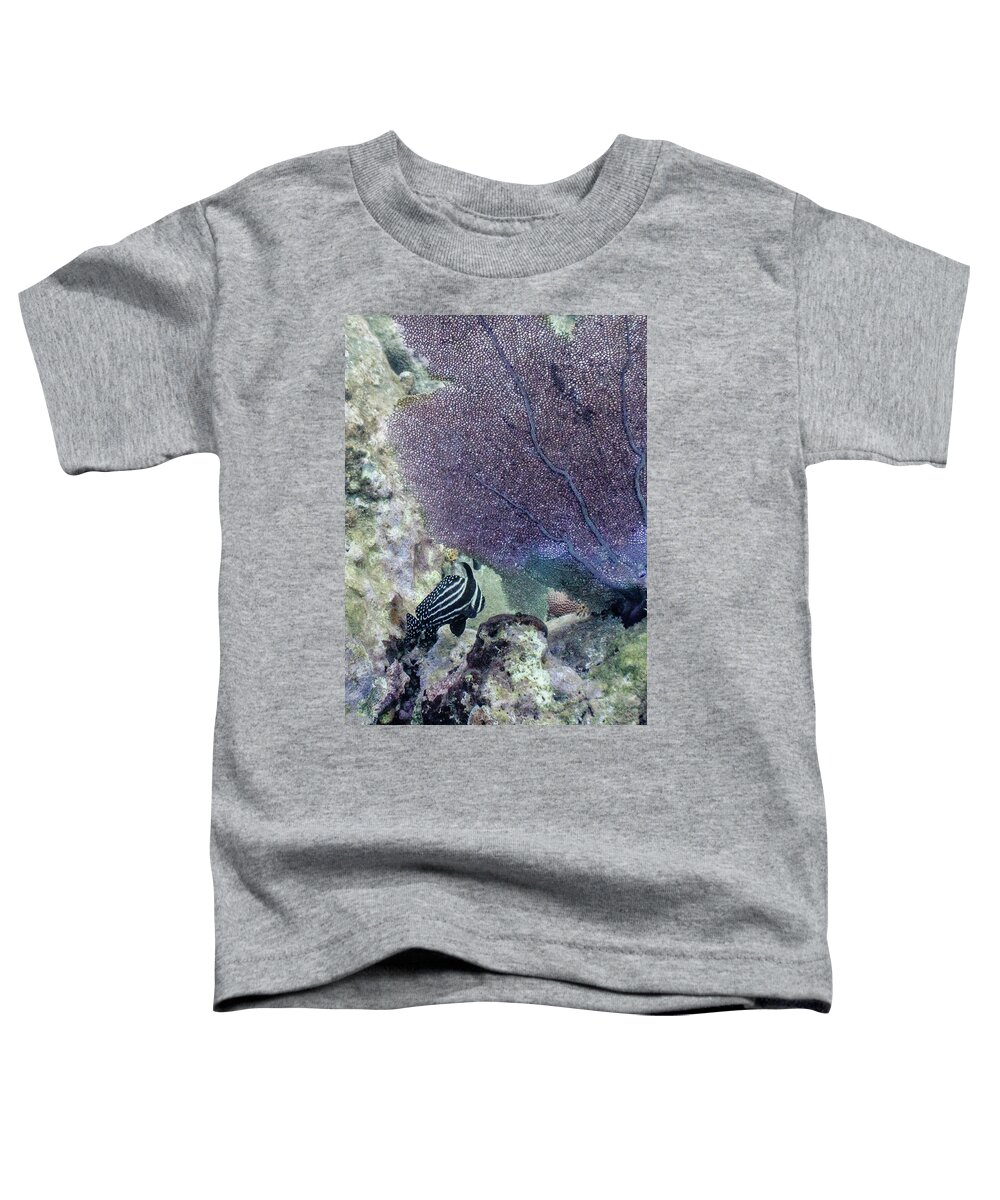 Animals Toddler T-Shirt featuring the photograph A Different Drum by Lynne Browne