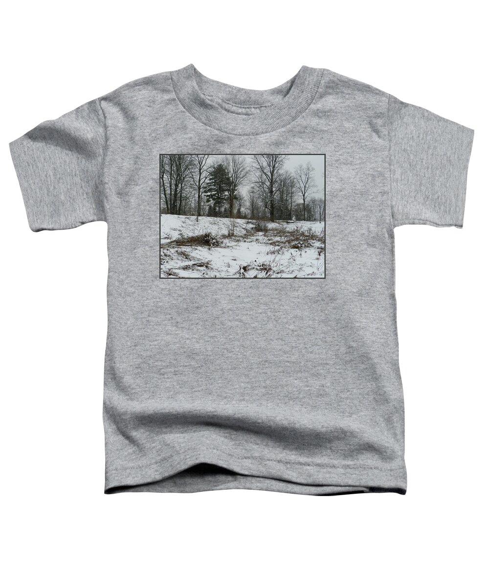 Monochromatic Toddler T-Shirt featuring the photograph A Field In January with Fallen Goldenrod by Lise Winne