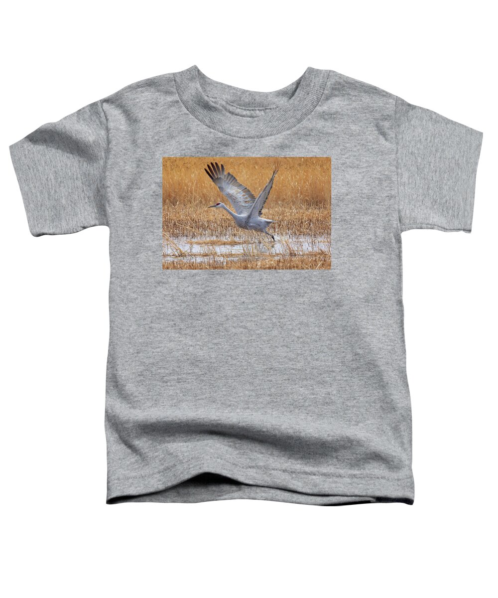 Bosque Del Apache Toddler T-Shirt featuring the photograph A Sandhill Takes Flight 4 by Susan Rissi Tregoning