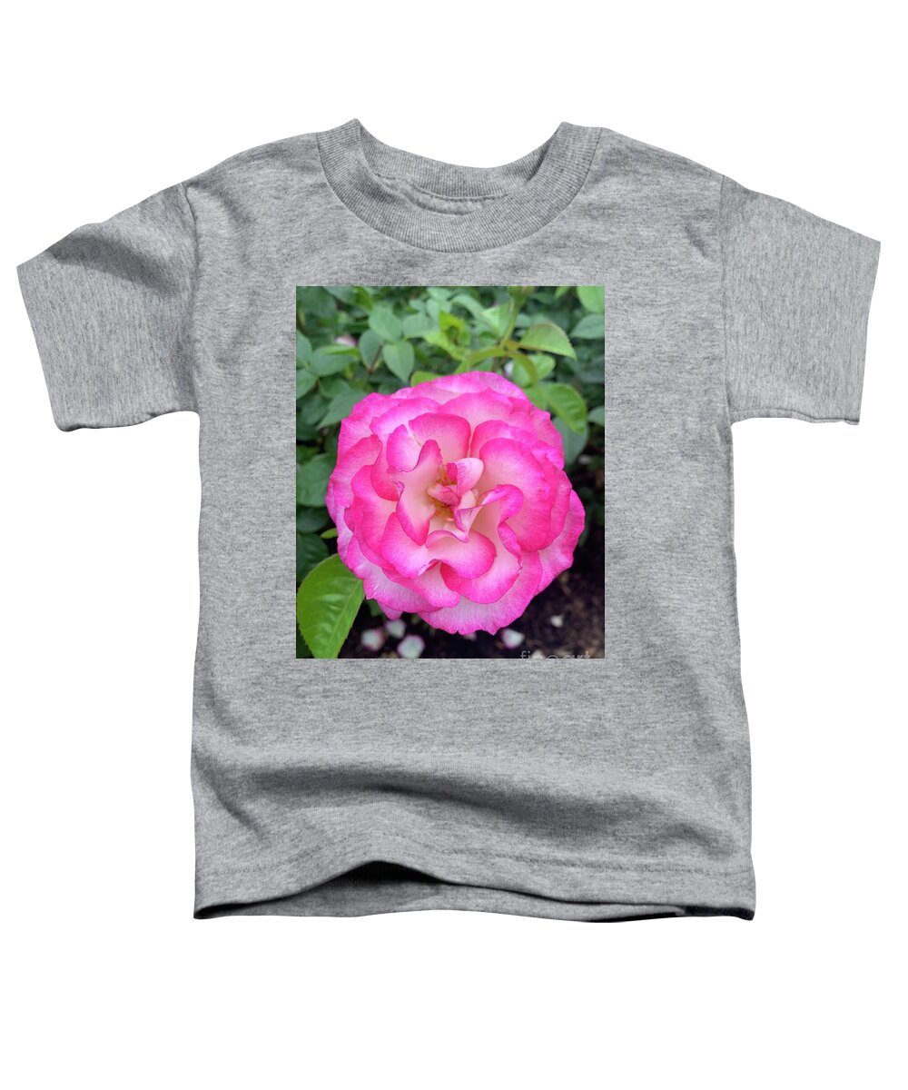 ROSE Single Rose T-Shirt