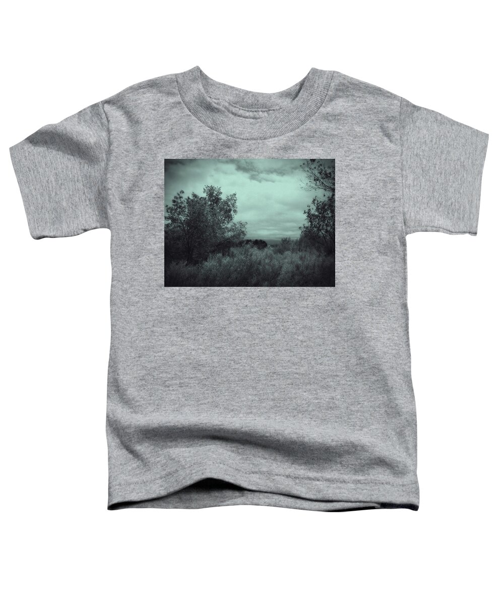 Landscape Toddler T-Shirt featuring the photograph A View Beyond Vintage Appeal by Kathleen Grace