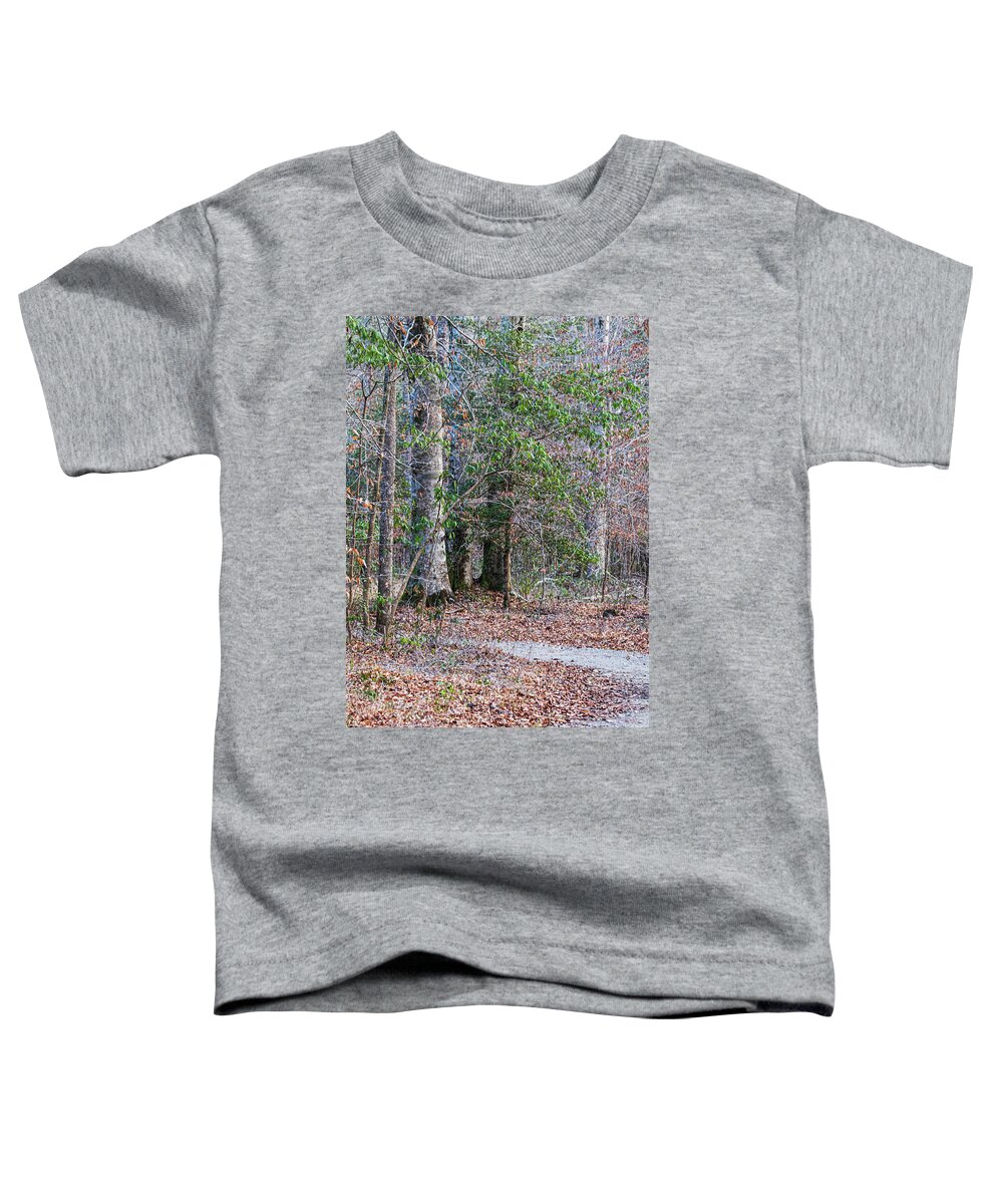 Latham-whitehurst Nature Park Toddler T-Shirt featuring the photograph A Winding Trail in the Nature Park by Bob Decker