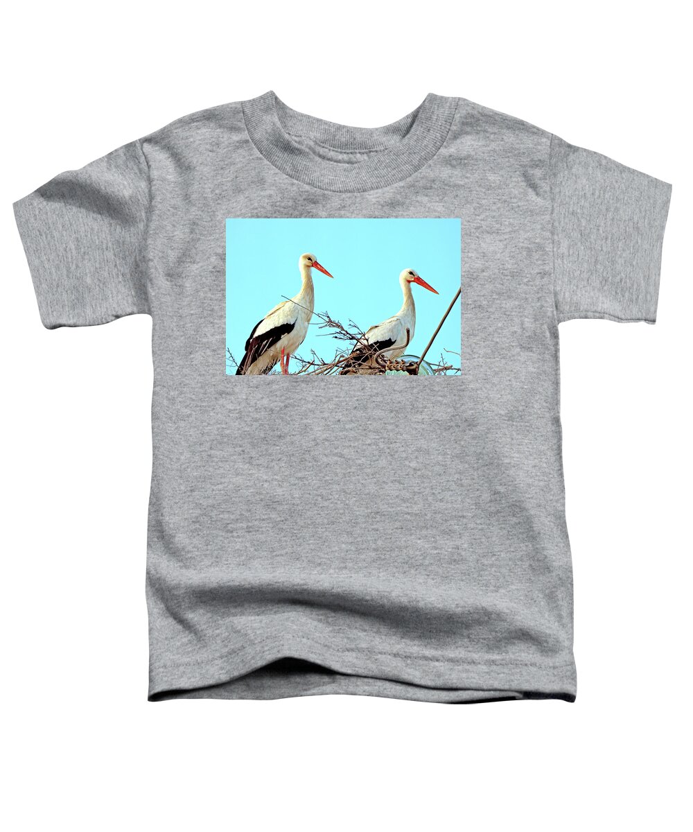  Toddler T-Shirt featuring the photograph Saudi Arabia 8 by Eric Pengelly