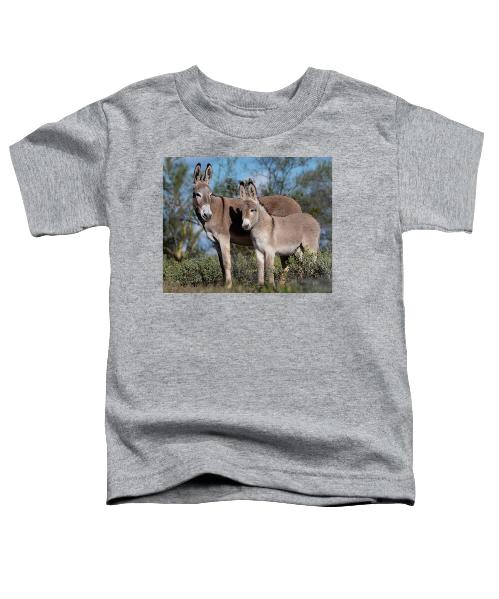 Wild Burros Toddler T-Shirt featuring the photograph Always watching by Mary Hone