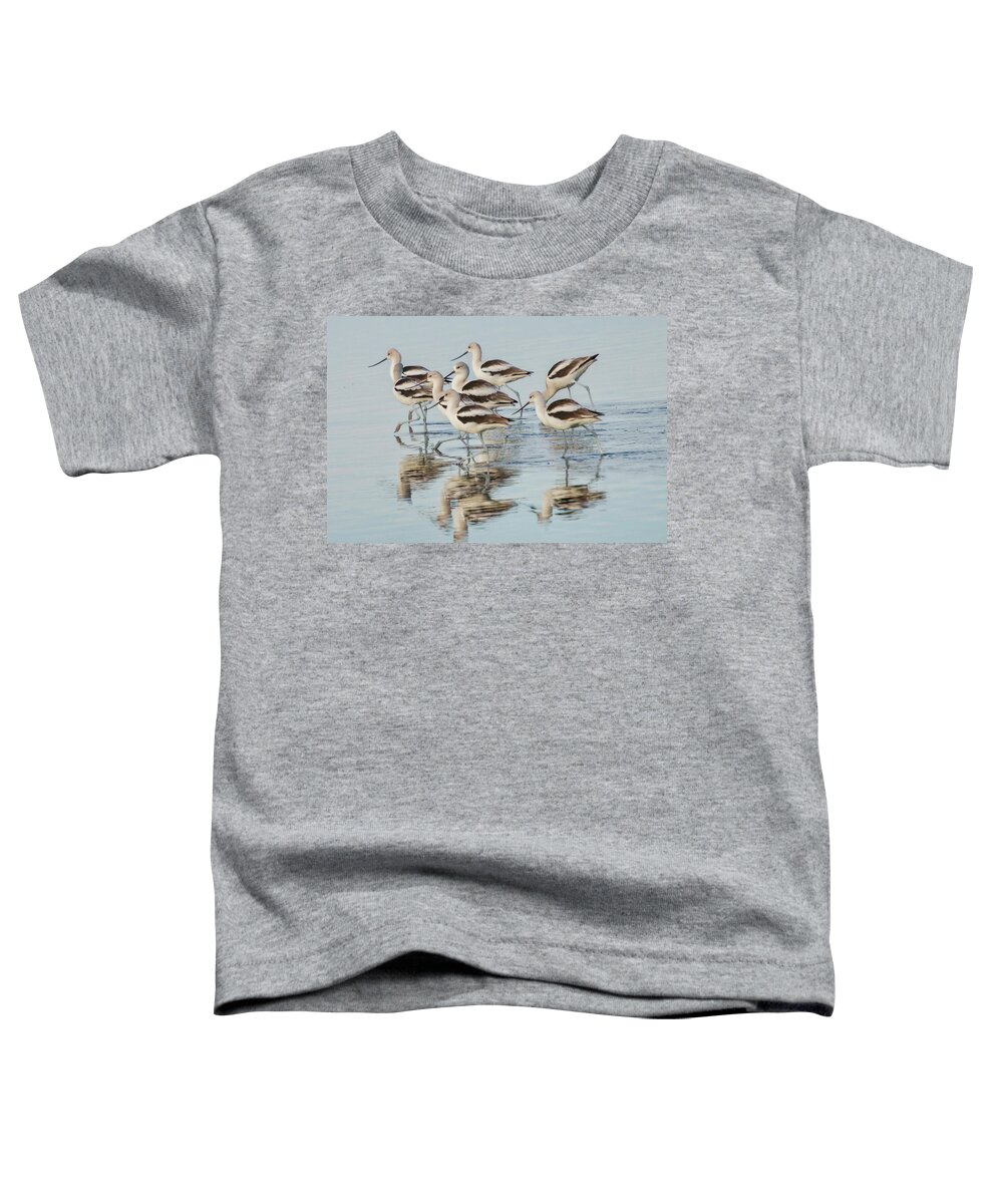America Avocet Toddler T-Shirt featuring the photograph American Avocet by Dorothy Cunningham
