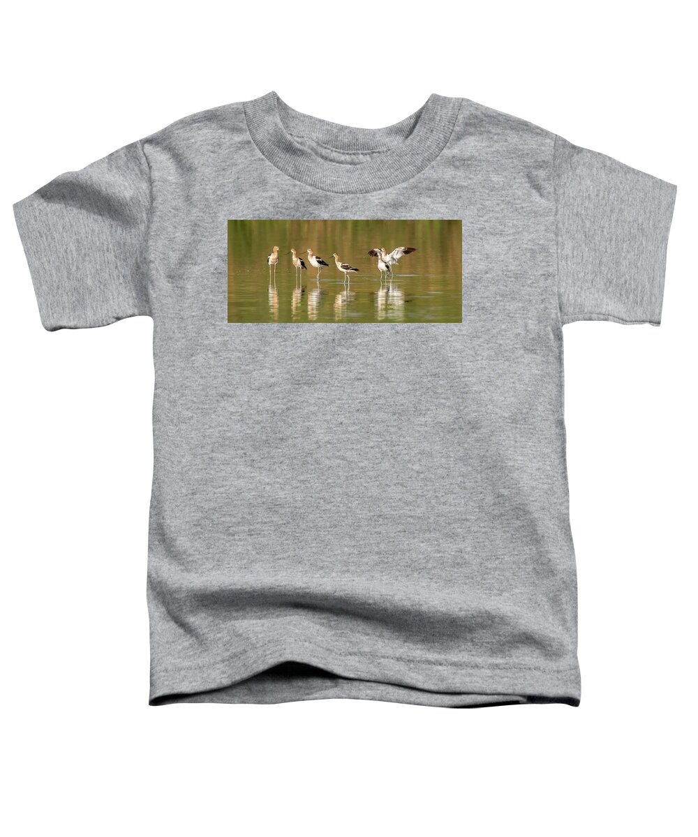 American Avocets Toddler T-Shirt featuring the photograph American Avocets 5724-072220-2 by Tam Ryan
