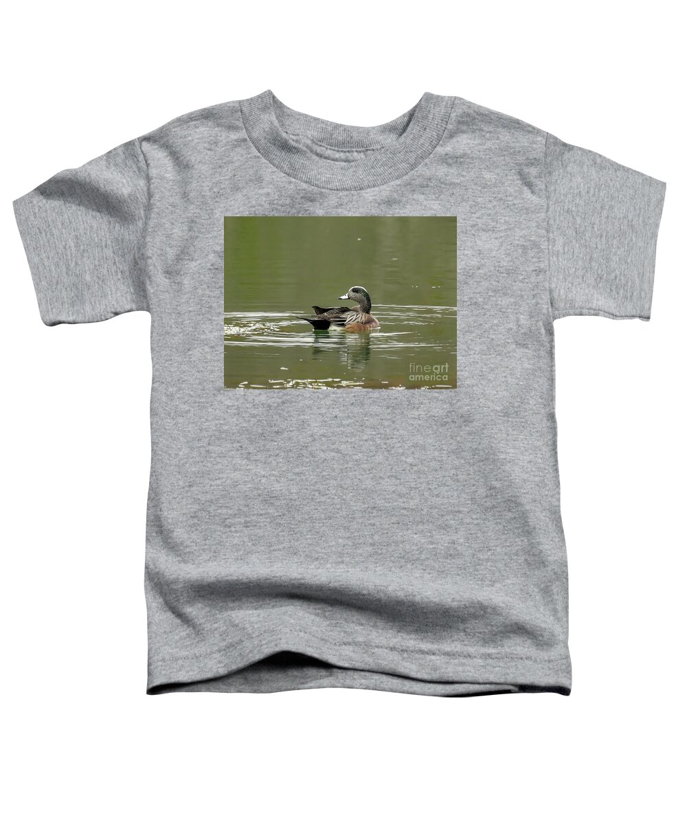 American Wigeon Toddler T-Shirt featuring the photograph American Wigeon by Kerri Farley