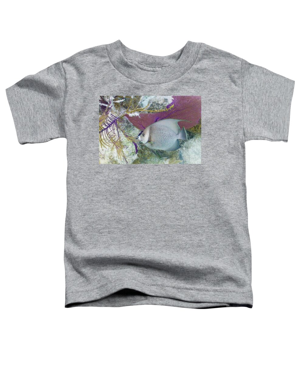 Animals Toddler T-Shirt featuring the photograph Angelic by Lynne Browne