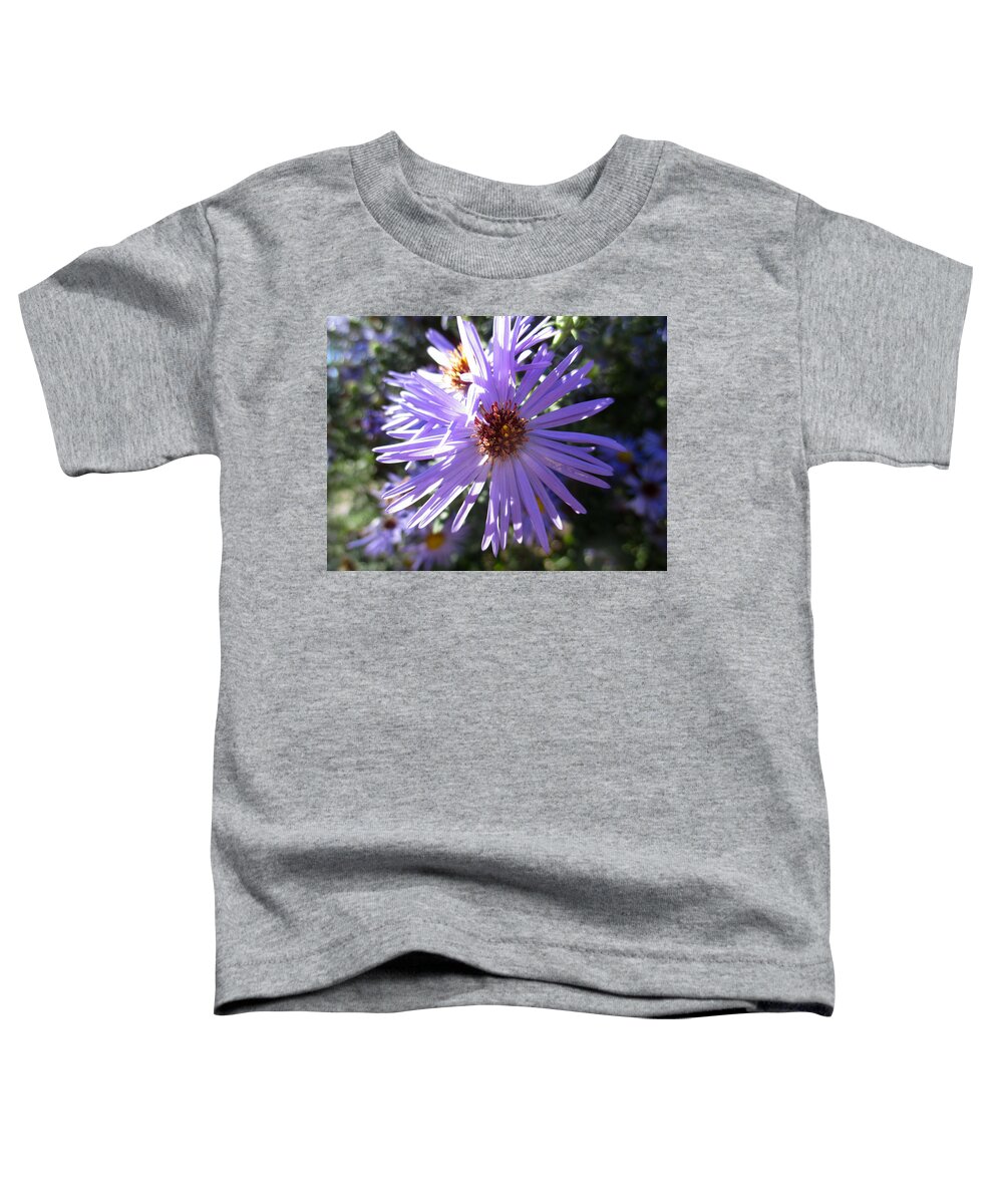 Aster Toddler T-Shirt featuring the photograph Aromatic Aster by W Craig Photography