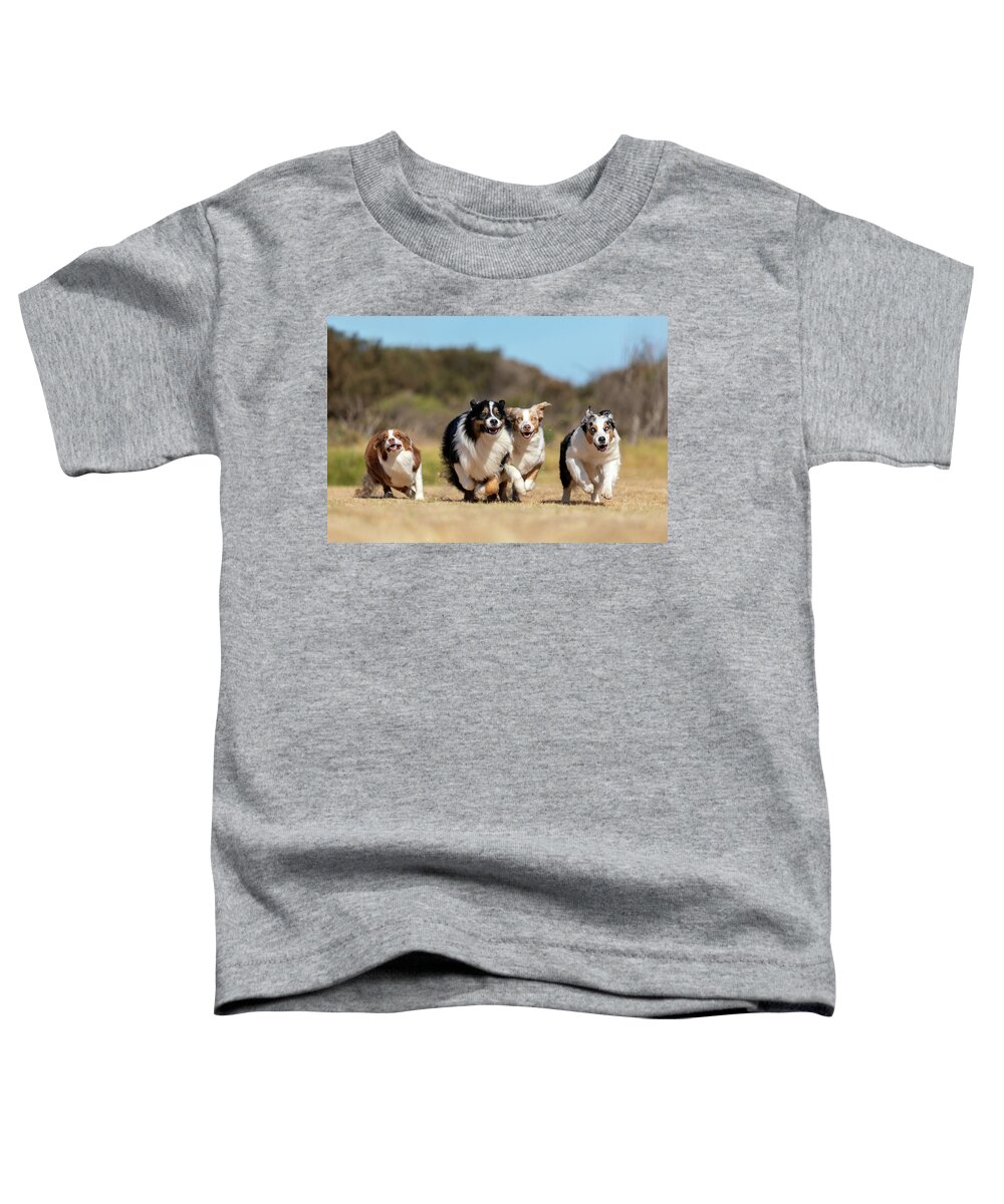 Australian Shepherd Toddler T-Shirt featuring the photograph Australian Shepherd Fun by Diana Andersen