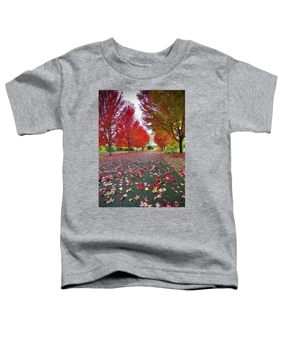 Autumn Toddler T-Shirt featuring the photograph Autumn Leaves by Dan McGeorge
