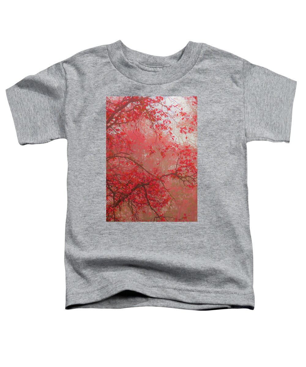 Autumn Leaves In The Mist Toddler T-Shirt featuring the photograph Autumn Leaves in the Mist - 2 in a Series - Nature Photography - Fall by Brooks Garten Hauschild