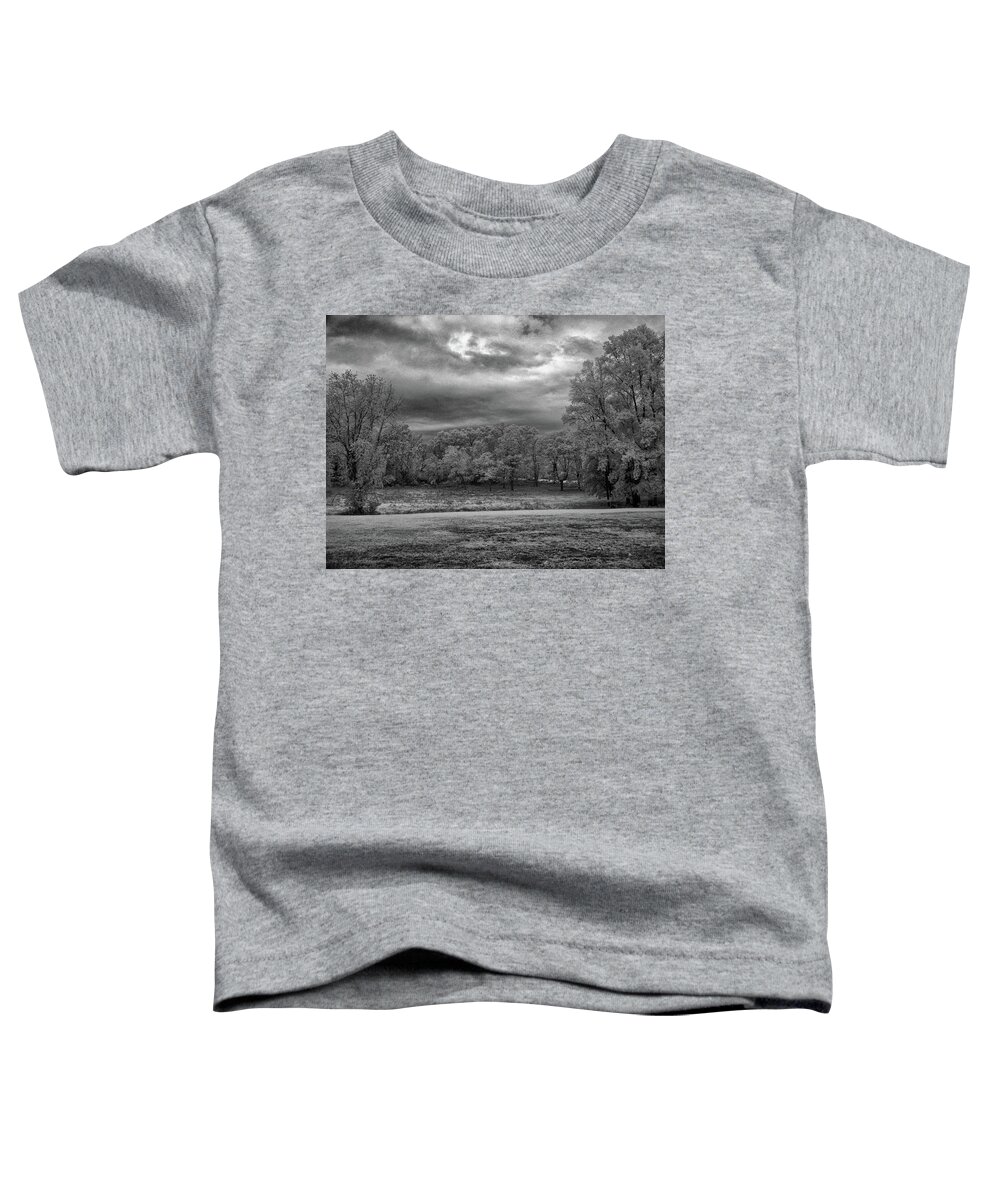 Trees Toddler T-Shirt featuring the photograph Autumn trees in black and white #2 by Alan Goldberg