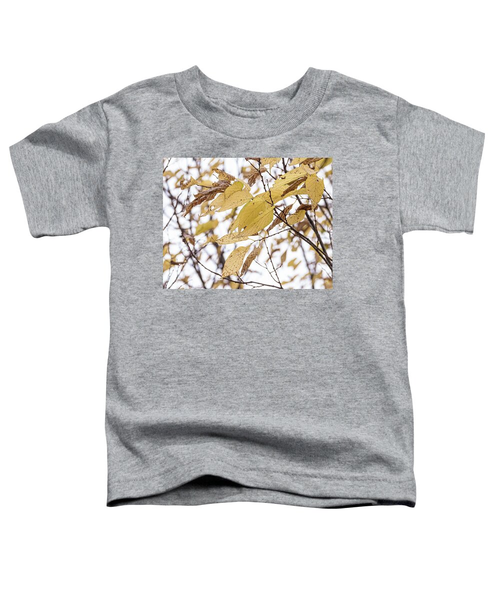 Autumn Yellow Leaves Toddler T-Shirt featuring the photograph Autumn Yellow Leaves by David Morehead