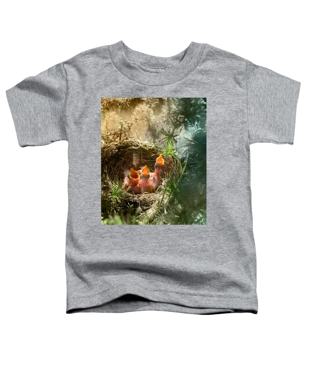 Birds Toddler T-Shirt featuring the photograph Baby Robins by Janie Johnson