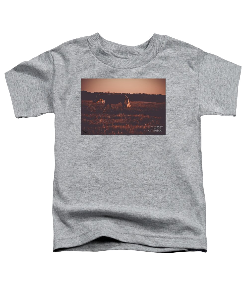 Horse Photography Toddler T-Shirt featuring the photograph Backlit Beauty by Tami Boelter