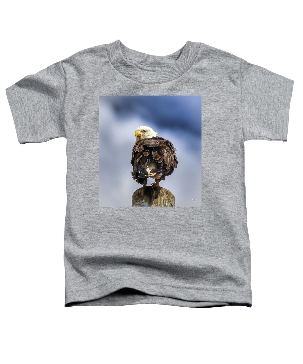 Eagle Toddler T-Shirt featuring the photograph Bald Eagle by Pam Rendall