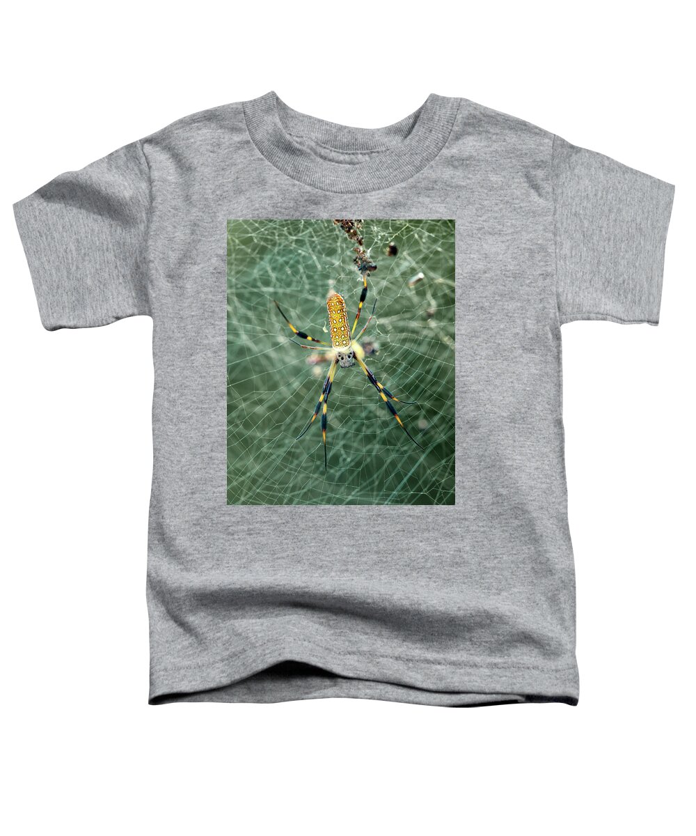 Banana Toddler T-Shirt featuring the photograph Banana Spider by Travis Rogers