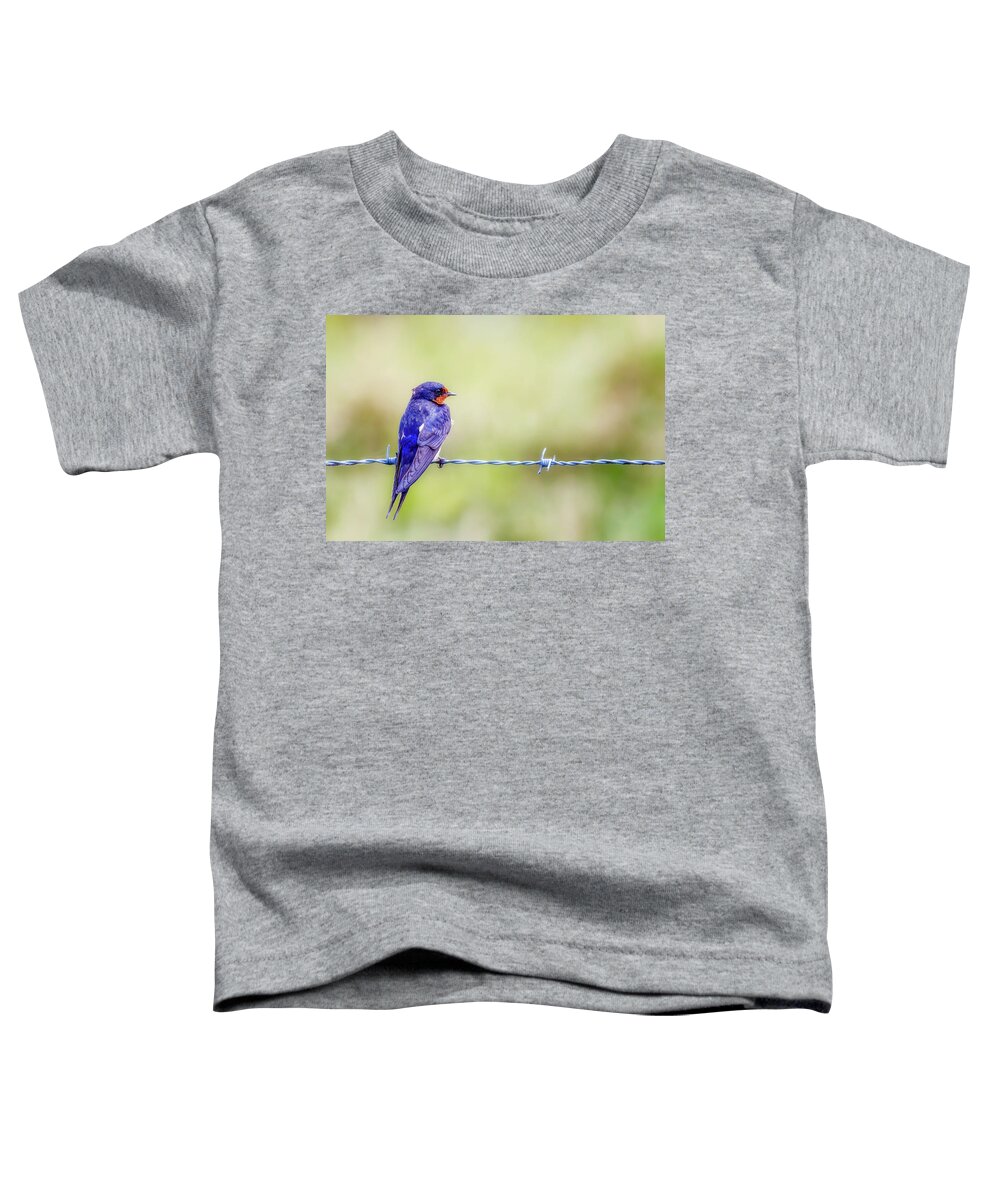 Barn Swallow Toddler T-Shirt featuring the photograph Barn Swallow Perched on Barbed Wire by Susan Rissi Tregoning