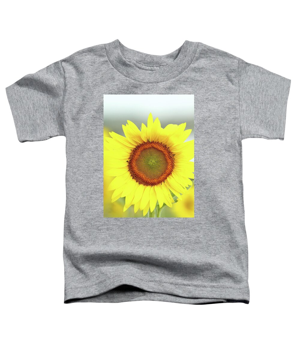 Sunflower Toddler T-Shirt featuring the photograph Basking In The Sun by Lens Art Photography By Larry Trager
