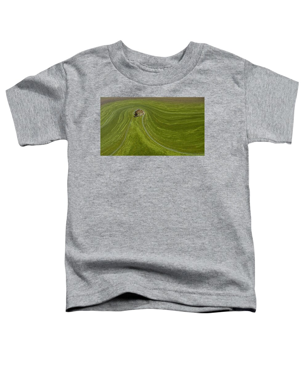 Natural Pattern Toddler T-Shirt featuring the photograph Beauty in the Green Algae bloom  by Alessandra RC