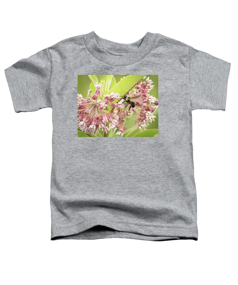 Bee Flying Pink Flower Toddler T-Shirt featuring the photograph Bee in flight by David Morehead